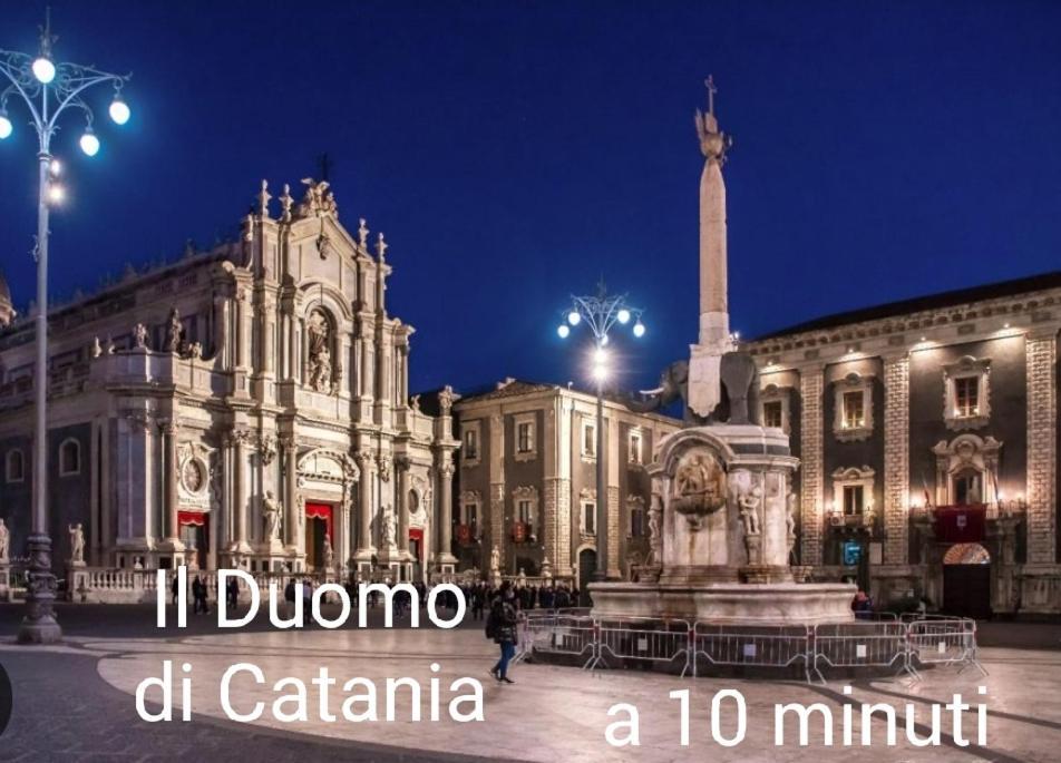 Bellini Luxury