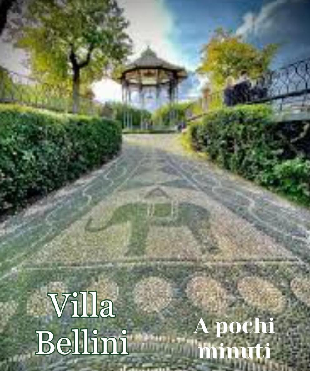 Bellini Luxury *
